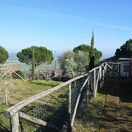 Locanda Mossa Dei Barbari Buriano  Luaran gambar