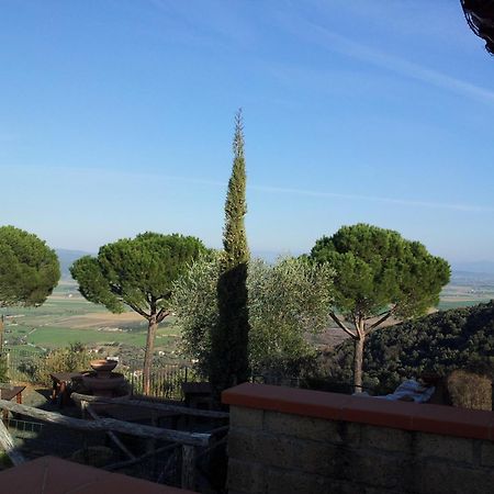 Locanda Mossa Dei Barbari Buriano  Luaran gambar