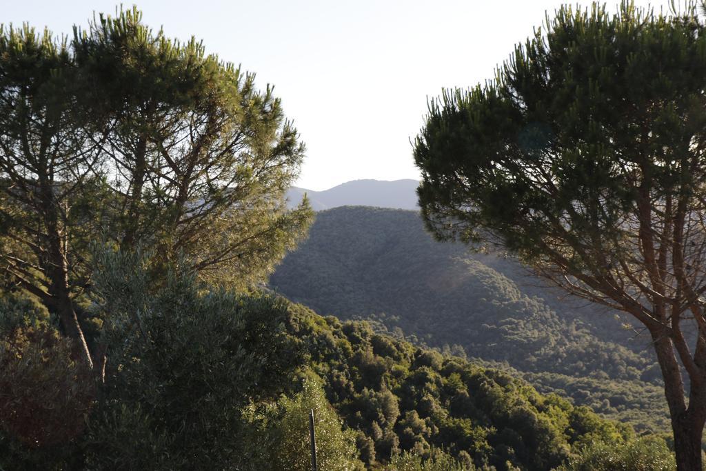 Locanda Mossa Dei Barbari Buriano  Luaran gambar